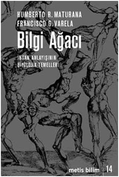 bilgi