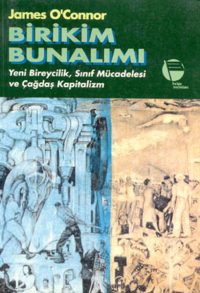 Birikim Bunalımı: Yeni Bireycilik, Sınıf Mücadelesi ve Çağdaş Kapitalizm