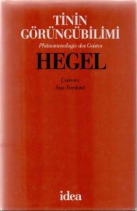 Tinin Görüngübilimi