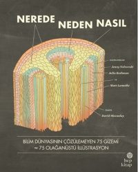 Nerede Neden Nasıl